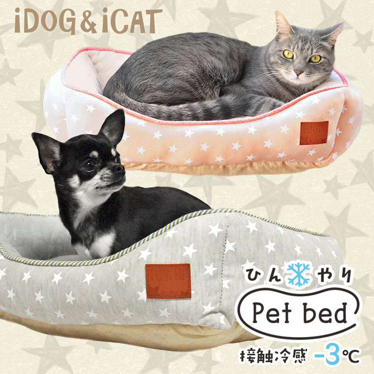【犬 猫 ベッド】 iDog アイドッグ ひんやりBOXベッド スターSサイズ【あす楽対応 翌日配送】 【クッション マット ハウス カドラー】【ペットベット ペットソファ 犬のベッド 猫のベッド ドッグハウス】【春用 夏用】【icat アイキャット i dog】