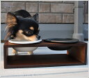 iDog Living Keat キートスクエア2