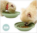 【 犬 猫 フードボウル 】オーカッツ Aukatz ヘルス...