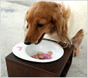 iDog Living Keat キートスクエア1