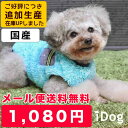 【 送料無料 同梱不可 メール便配送 】 iDog 送料無料...
