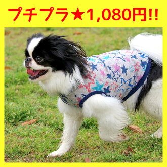 iDog IDOG 漆星甜坦克 iDog IDOG 漆星甜坦克