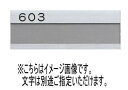 神栄ホームクリエイト(新協和) SK-602ST-1 ステンレス室名札 シート5字貼 ヘアライン・クリア塗装 受注生産