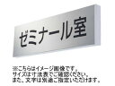 神栄ホームクリエイト(新協和) SK-SN-4T 一般室名札(突出型) UV印刷 本体:アルミ 表示板:ステンレス 受注生産