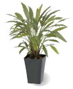 タカショー 観葉植物・グリーンデコ鉢付 カラテアG グリーン GD-164G お洒落でリアル