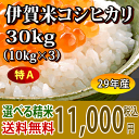 【H29年産・特Aランク】伊賀米コシヒカリ玄米30kg(10kgx3袋)【送料無料】【精米無料】【米ぬか無料】【分づき米対応】|【楽ギフ_包装】【楽ギフ_のし】【楽ギフ_のし宛書】|s120