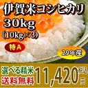 【ポイント3倍 9/21(金)20:00〜9/26(水)1:...