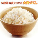 国産 大麦づくし 送料無料 420g×2(840g) 5種類の麦ミックス 麦飯 雑穀米 大麦ごはん 