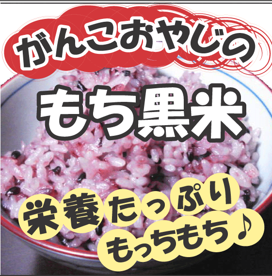 【ポイント10倍】8/17(金)23：59まで【メール便送料無料】【同梱不可】栽培期間中農薬不使用！H23年産がんこおやじのもち黒米　250g×3【マクロビ】土作りからこだわりました！農薬は一切使わず全て手作業！もちもち感が違います！