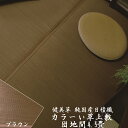 【製造直売・色落ちしないカラーゴザ】カラーい草上敷き「健美草」ブラウン 255×255cm(団地間4.5畳)【送料無料】(公団サイズ・五六間)【10P03Dec16】