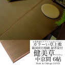【色落ちしないカラーゴザ】【自社製造直売・産地直送】抗菌・消臭緑茶染カラーい草上敷き「健美草」ブラウン 273×364cm(中京間6畳)【送料無料】(三六間)【10P03Dec16】