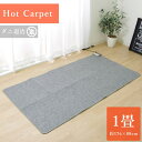 ホットカーペット 電気カーペット 1畳 「 TMC-100 」 約88×176cm モリタ ホットカーペット 電気カーペット 1畳用 長方形 ダニ退治 保温 省エネ 【返品不可】