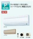 S25KTPS AN25KPSルームエアコン ダイキン単相100V【S25KTPS】2009年モデルPシリーズ家電モデル 同等品AN25KPS【エアコン2009】