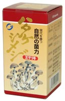 ハタケシメジ王子1号 【送料無料、代引手数料無料】「ハタケシメジ王子1号」β-1,3・β-1,6グルカンやビタミン・ミネラルを豊富に含む「幻のキノコ」ハタケシメジ。