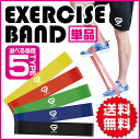 GronG トレーニングチューブ エクササイズバンド フィッ...