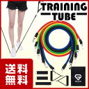 GronG トレーニングチューブ エクササイズバンド フィッ...