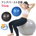 GronG バランスボール 75cm 空気入れ付き アンチバ...