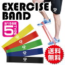 GronG トレーニングチューブ フィットネスチューブ エク...