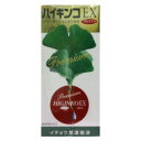 イチョウ葉　ハイギンコEXプレミアム　60ml　 