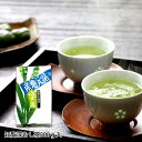 知覧深むし茶 桜島 500g真空パック【送料無料】 知覧深むし茶 桜島 500g真空パック【送料無料】