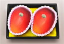 ショッピングマンゴー 宮崎産　完熟マンゴー（大玉）約1.0kg(2個)　＜送料・消費税込！　ギフト対応可＞