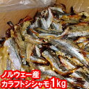 《冷凍》送料無料 ノルウェー産 カラフトシシャモ ソフト焼きシシャモ 1kg