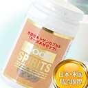 【代引手数料無料】ヌーススピリッツ 90カプセル 1個【送料無料】【低分子キトサン】【ストレス サプリ】【不安感】【イライラ】【憂うつな気持ち】