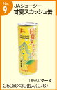 JAジューシー☆甘夏スカッシュ☆昔懐かしの☆250g×30本...