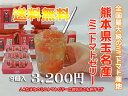 『送料無料』全国最大級の生産を行っている。熊本県玉名のミニトマトをゼリーにしてみました。140gの内容量を9個箱入りで送ります。