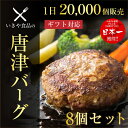 ハンバーグ ギフト 【唐津バーグ 8個】肉汁たっぷり ギフトセット 送料無料 冷凍 でお