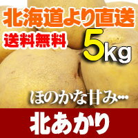 北海道直送じゃがいも北あかり5kgセット栗じゃがとも言われるホクホク感。蒸かしてじゃがバターに！フライドポテトやマッシュポテトなどにも！