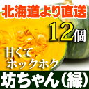坊ちゃんかぼちゃ(緑)12個セット 北海道産 贈り物 内祝 お返し ミニかぼちゃ ギフト 秋の味覚 ミニかぼちゃ ハロウィン