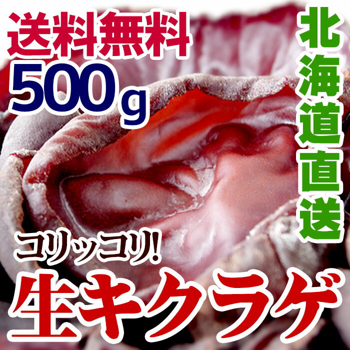 父の日 ギフト 国産 生きくらげ キクラゲ 木耳 500g 工場直送 無添加 ヘルシー 中…...:ikorofood:10000600