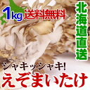 高級えぞまいたけ(舞茸)1kg（2株）北海道産マイタケ 贈り物 ギフト 内祝