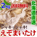 高級えぞまいたけ(舞茸)2kg(3〜4株)北海道産マイタケ 贈り物 ギフト 内祝 お歳暮 お歳暮ギフト