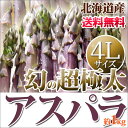 紫アスパラ ギフト 北海道 【 4Lサイズ 1kg 幻の超極...