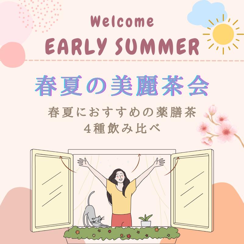 オススメ 健康 元気 【春夏の美麗茶会 4種 飲みくらべセット】 各2包 全8包入り 美麗茶会 ハーブティー 薬膳茶 和漢茶 漢方茶 八宝茶 春夏におすすめ ティーバッグ ティーパック 税込 送料無料 【香料・着色料・甘味料など一切不使用】