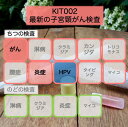 【送料無料】KIT002 アイラボの「最新の子宮頸がん検査」【あす楽対応】