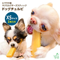 犬 おやつ無添加 ヒマラヤ産 ヤクミルク<strong>チーズスティック</strong>『ドッグチュルピ』XSサイズ（1本約30g/2本入り） 犬用 ヤクミルク ヒマラヤ ネパール チーズ ガム デンタルケア おやつ 超小型犬 小型犬 イリオスマイル iliosmile