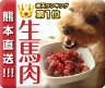 【熊本直送】犬用新鮮生馬肉パラパラミンチ【2セット目から送料無料・クール代無料(北海道・沖縄・離島別）】【冷凍パラパラ・生馬肉・生食】※他商品との同梱はできませんドッグフード・ドックフード【iliosmile】【smtb-s】