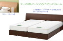アイシン精機 ASLEEP アスリープ シングルロングベッド 省スペースドッキングベッド 【IPM-IFS-684 ベーシックタイプ】SLサイズ フレームのみ bed 【送料無料】