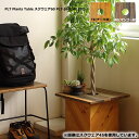 プランツテーブル 【 PLT Plants Table スクウェア60 PLT-S60(MG/TE) 】 プランツテーブル デッドスペース解消 サイドテーブル ディスプレイ棚