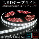 LEDテープ 防水 野外使用可能 ルミナスドーム SMD2835(60)昼白色(5500K)5m ※点灯す