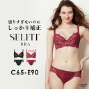 【返品交換0円】 ノンパテッドタイプ ブラジャー SELFIT BRA ブラ ショーツセット 夏 セクシー | 育乳ブラ 補正下着 ショーツ セット バストアップ ブラ 脇肉 レディース はみ肉 脇高 黒 ノンパテッド 背肉 ブラセット インナー パッドなし 通気性 かわいい レース 夏用