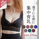 夜寄るブラ +plus | ナイトブラ 育乳 育乳ブラ ブラジャー 大きいサイズ 補正下着 夜用 小胸 バストアップブラ バストアップ ブラ いくにゅうぶら脇肉 垂れ はみ肉 脇高 ノンワイヤー 夜ブラ ナイトブラジャー 背中 防止 黒 バスト 寄せ バストケア レース パッドなし