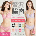 贅沢脇肉キャッチャー HappyBag アウトレット B C D E カップ 3段ホック 脇肉スッキリ 福袋 補正下着 補正ブラ (ブラジャー ブラ 着やせ セット 下着 ランジェリー レディース 冬 通販 楽天)