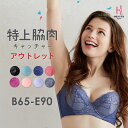 【アウトレット20%OFF】 特上脇肉キャッチャー BCDEカップ 脇高ブラ 脇肉 スッキリ 背中すっきり | 育乳ブラ 育乳 ブラジャー バストアップ バストアップブラ 補正下着 いくにゅうぶら ブラ 下着 肉 胸 垂れ 背中 大きいサイズ 補正ブラ 谷間 下垂 脇高ブラジャー