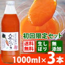 【初回送料無料】甘くておいしい しぼりたて無添加にんじんジュース お試しセット(1000ml×3本) 安心の国産 人参ジュース