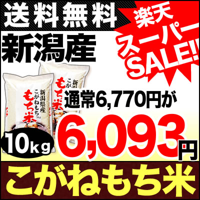 新米 28年産 新潟県産 もち米 こがねもち米 白米 10kg(5kg×2袋)【送料無料】(沖縄・佐渡を除く)こがねもち/コガネモチ/黄金もち/黄金餅/のしモチ... ランキングお取り寄せ