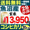 魚沼産コシヒカリ 産直 30kg 玄米 H28年産 米 【送料無料】(一部地域を除く)